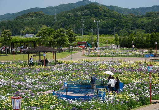 201706101235-DSC05498RX10M3.jpg