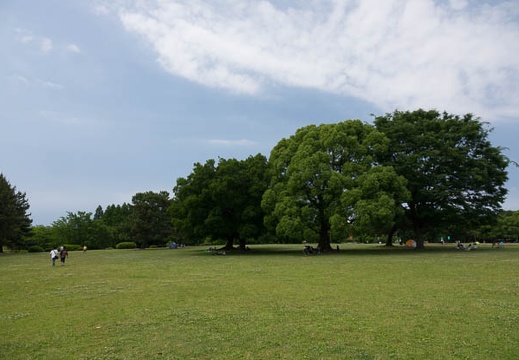 201706111355-DSC05769RX10M3.jpg