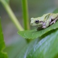 201706140700-DSC05968RX10M3.jpg