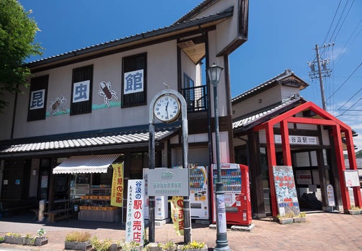 201706141229-DSC06105RX10M3.jpg