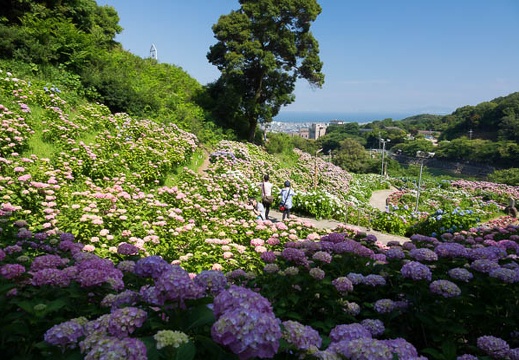 201706151432-DSC06482RX10M3.jpg
