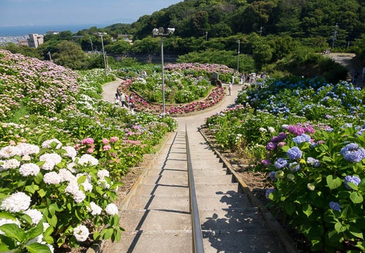 201706151436-DSC06495RX10M3.jpg
