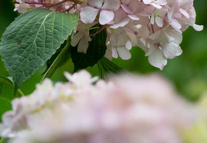 201706181252-DSC06814RX10M3.jpg