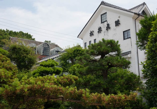 201706201133-DSC07427RX10M3.jpg