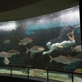 201706201234-DSC07603RX10M3.jpg