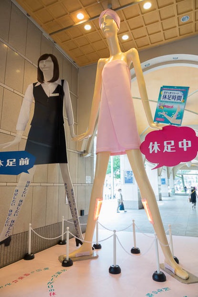 201706231330-DSC07842RX10M3.jpg
