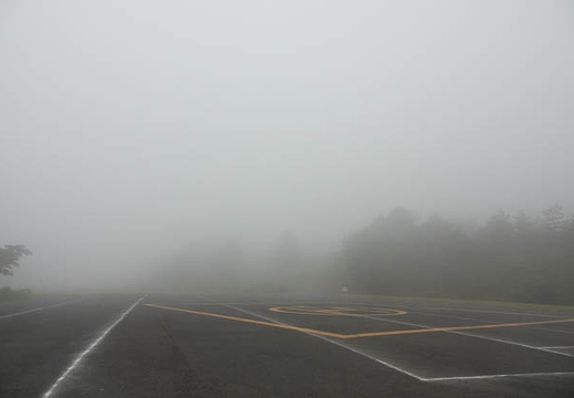 201706240759-DSC08010RX10M3.jpg