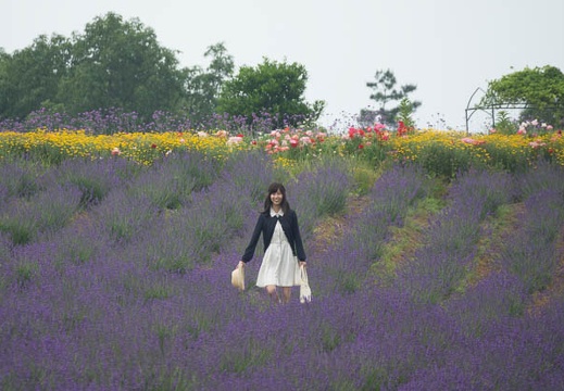 201706240956-DSC08201RX10M3.jpg