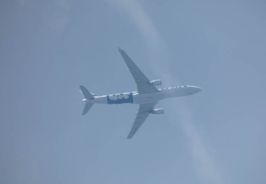 201707021058-P1100781FZ85.jpg