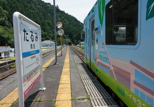 201707171150-DSC09160RX10M3.jpg