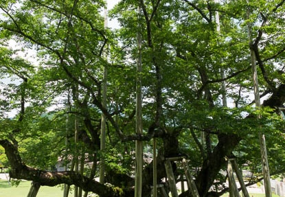 201707171235-DSC09215RX10M3.jpg