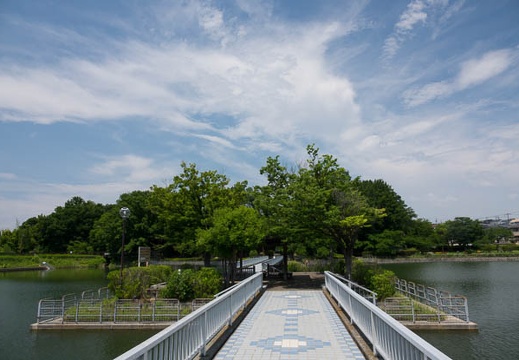201707181049-DSC09489RX10M3.jpg