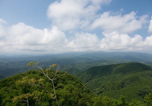 201707200924-DSC09700RX10M3.jpg