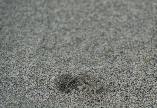 201708030721-DSC00714RX10M3.jpg