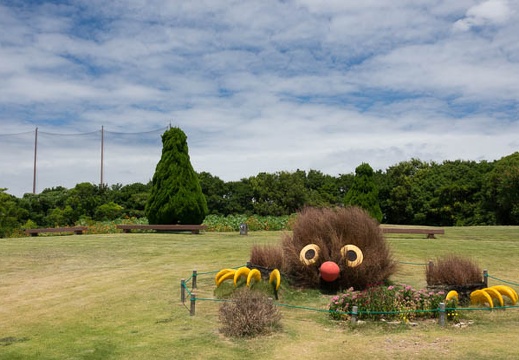 201708031133-DSC00813RX10M3.jpg