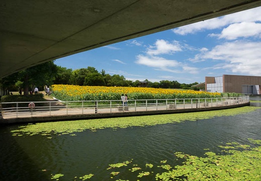 201708031145-DSC00846RX10M3.jpg