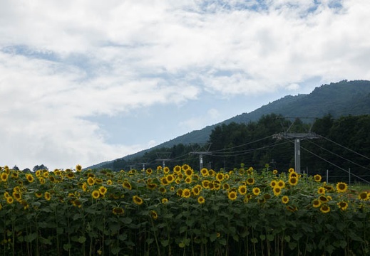 201708111321-DSC01399RX10M3.jpg