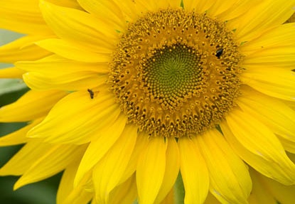 201708111340-DSC01456RX10M3.jpg