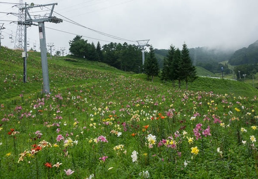 201708111550-DSC01572RX10M3.jpg