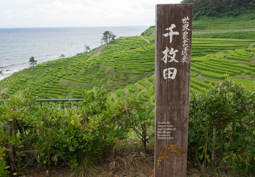201708120823-DSC01831RX10M3.jpg