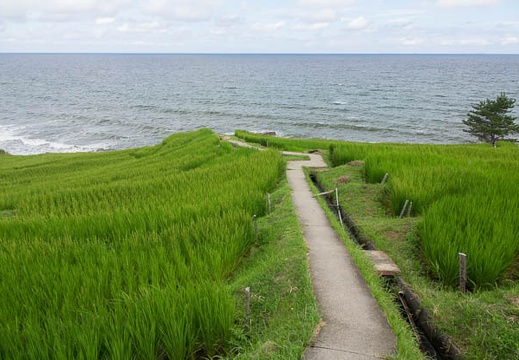 201708120844-DSC01884RX10M3.jpg