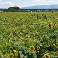 201708191432-DSC02776RX10M3.jpg