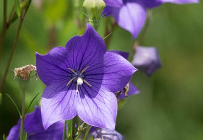 201708241318-DSC03558RX10M3.jpg