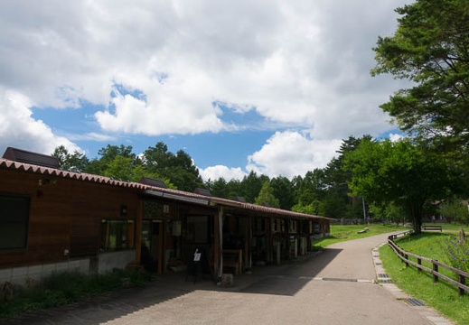 201708241319-DSC03560RX10M3.jpg
