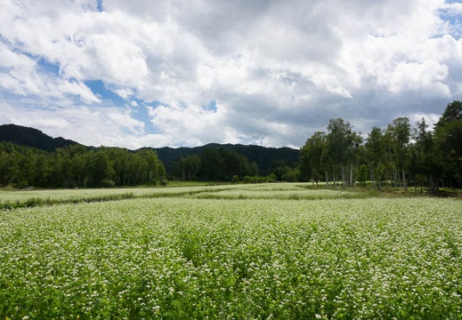 201708241338-DSC03593RX10M3.jpg