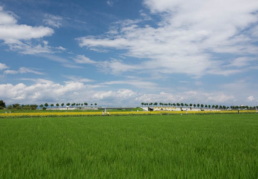 201708301153-DSC04980RX10M3.jpg