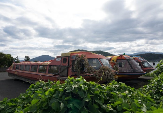 201709020808-DSC05396RX10M3.jpg