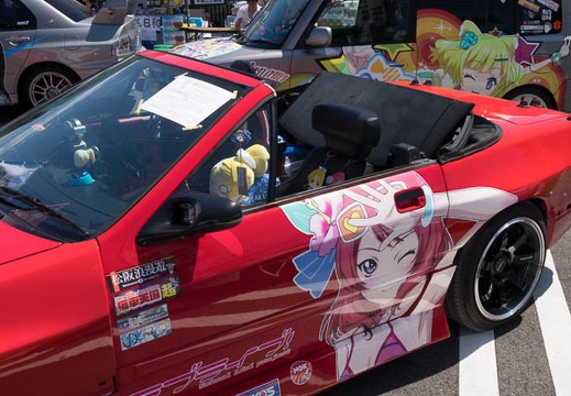 201709031321-DSC06079RX10M3.jpg