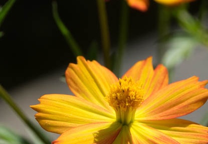 201709101424-DSC07742RX10M3.jpg
