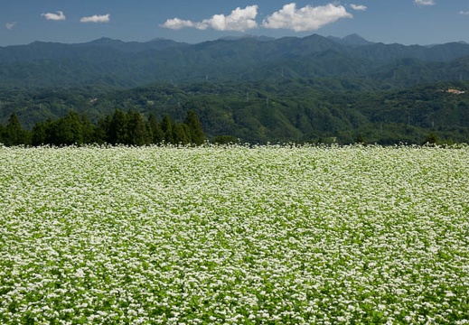 09.14 南信州下條村