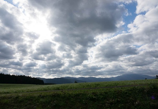201709190749-DSC09131RX10M3.jpg