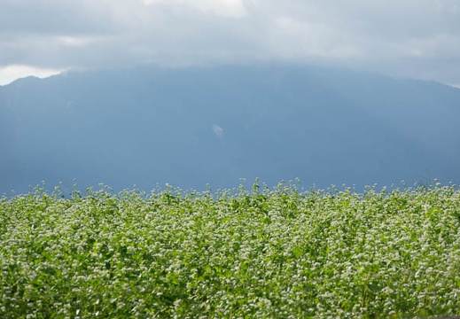 201709190749-DSC09133RX10M3.jpg