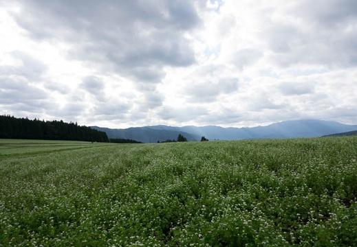 201709190754-DSC09141RX10M3.jpg