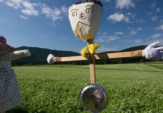 201709190833-DSC09220RX10M3.jpg