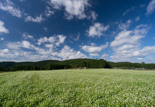 201709190902-DSC07727N5R.jpg