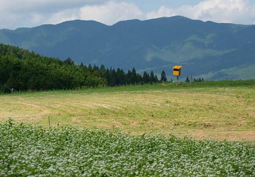201709190940-DSC09382RX10M3.jpg