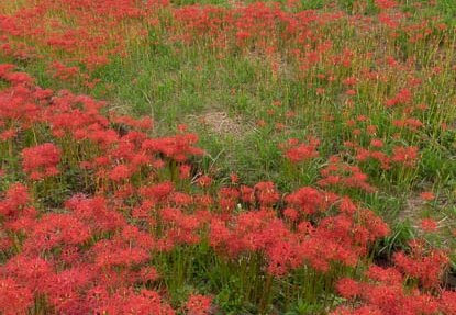 201709231236-DSC09843RX10M3.jpg