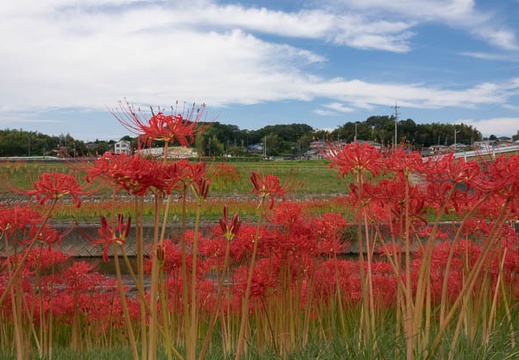 201709241235-DSC00348RX10M3.jpg