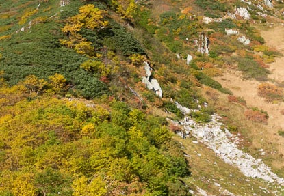 201709290816-DSC01353RX10M3.jpg