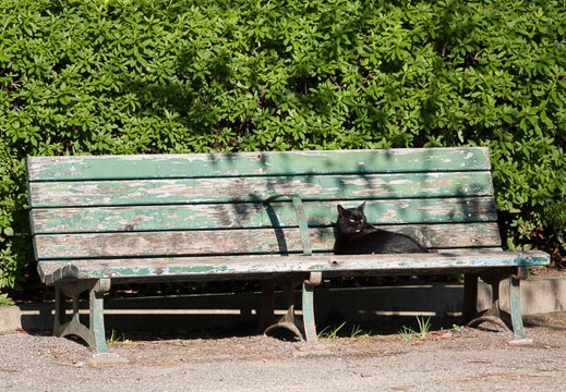 201710261435-DSC03466RX10M4.jpg