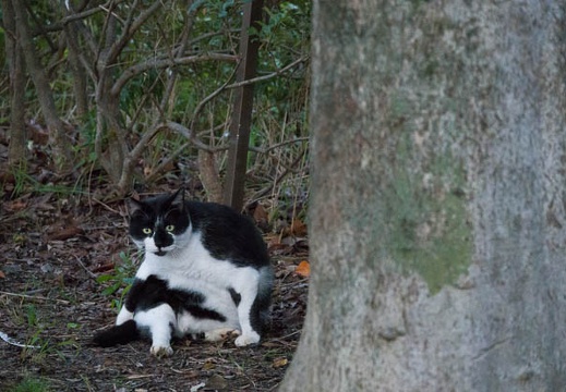201710261705-DSC03548RX10M4.jpg