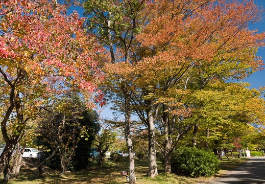 201711011234-DSC05250RX10M4.jpg