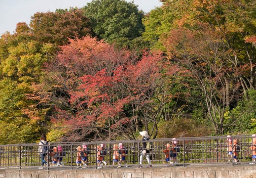 201711021426-DSC05740RX10M4.jpg