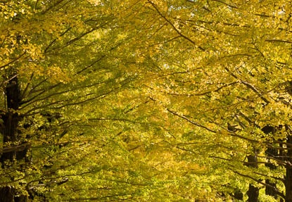 201711021503-DSC05842RX10M4.jpg