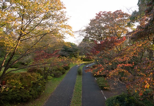201711021552-DSC05933RX10M4.jpg