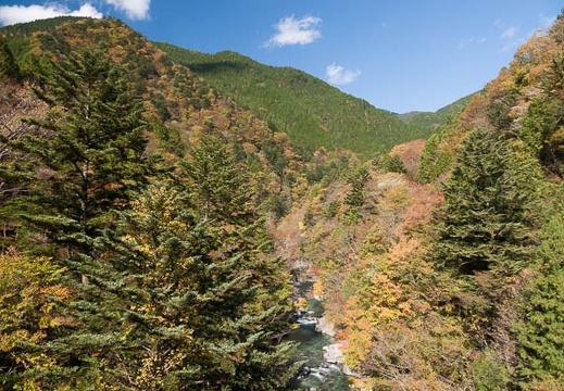201711061149-DSC01370RX10M4.jpg